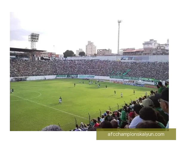 巴西队在世界杯赛场表现稳健，近期状态持续回暖，备受期待。